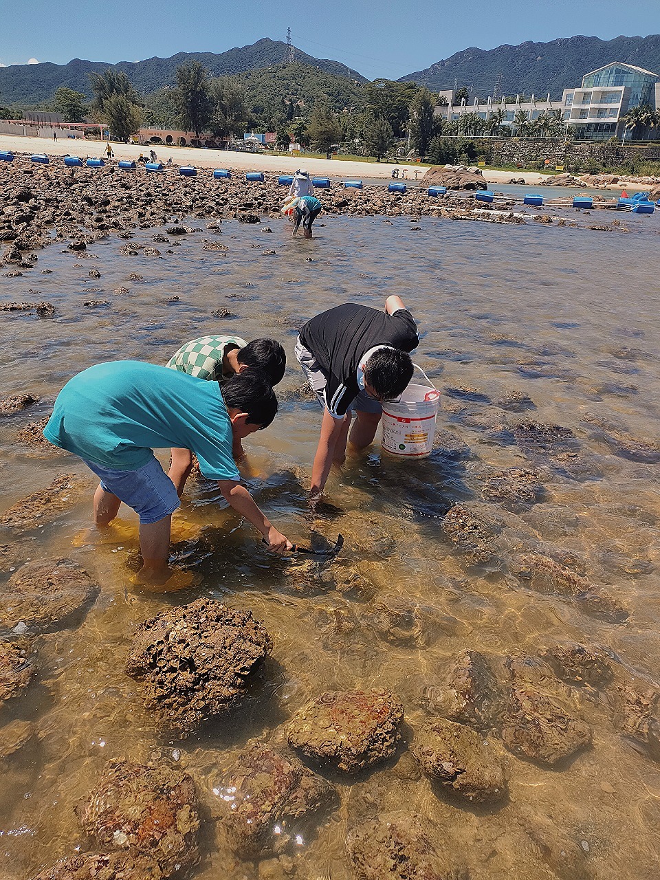 花海間趕海最新，科技引領新時代的趕海體驗探索