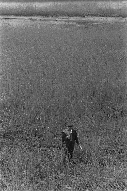 茨城最新殺人案，高科技產(chǎn)品的變革重塑生活體驗