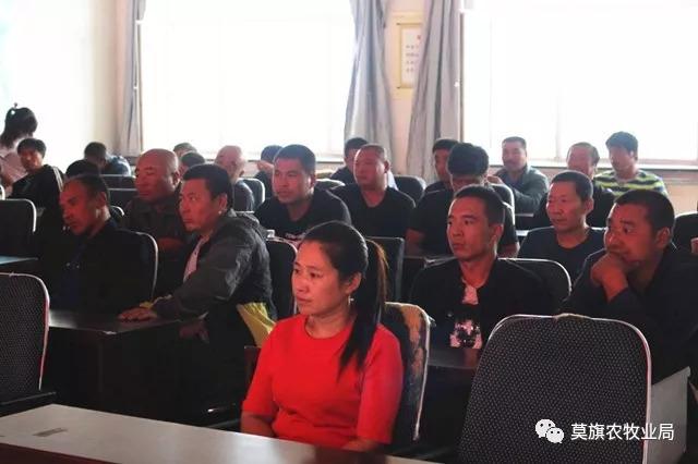 莫旗最新通告,莫旗最新通告的觀點論述