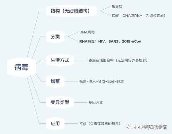 最新病毒總結(jié)報告，全面梳理與分析病毒動態(tài)