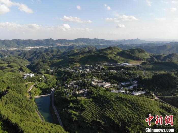 最新貴州畢節(jié),最新貴州畢節(jié)?