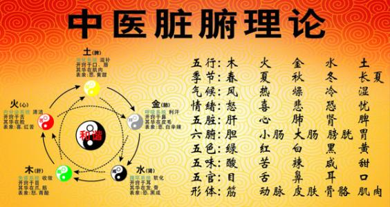 探索現(xiàn)代健康生活秘訣，最新養(yǎng)生知識(shí)匯總