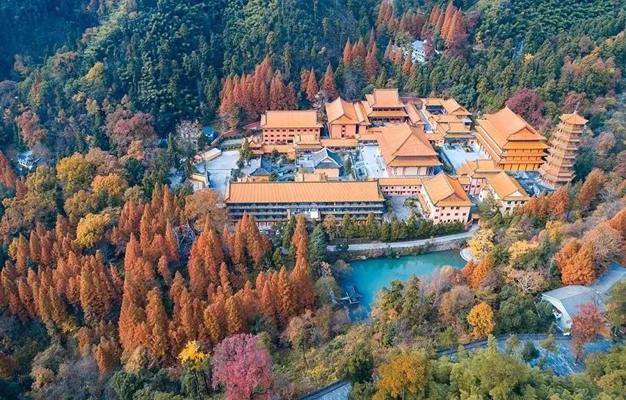 聽伴最新下載，小巷深處的音樂寶藏探秘