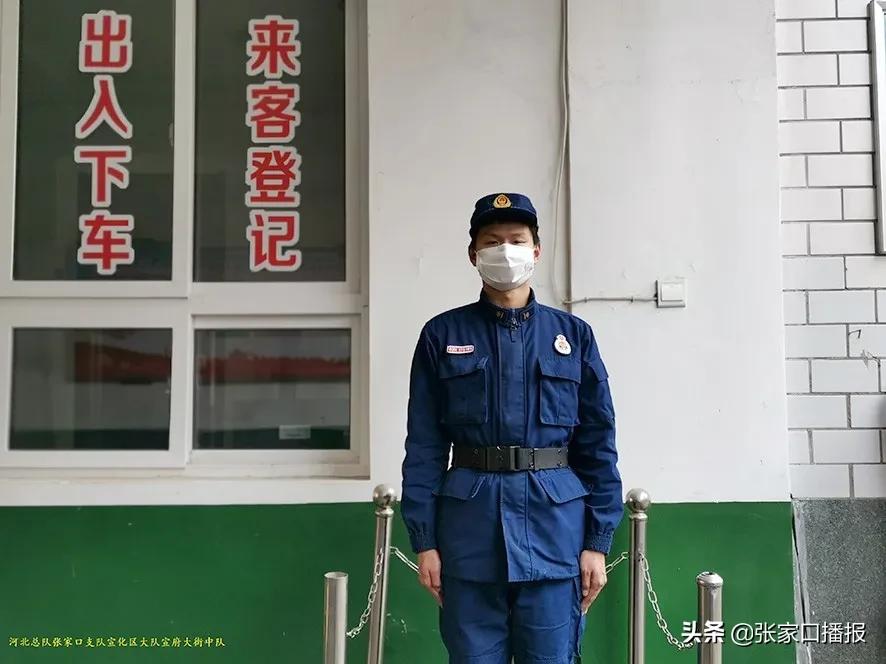 宣化最新病毒,宣化最新病毒，科普解讀與應對要點