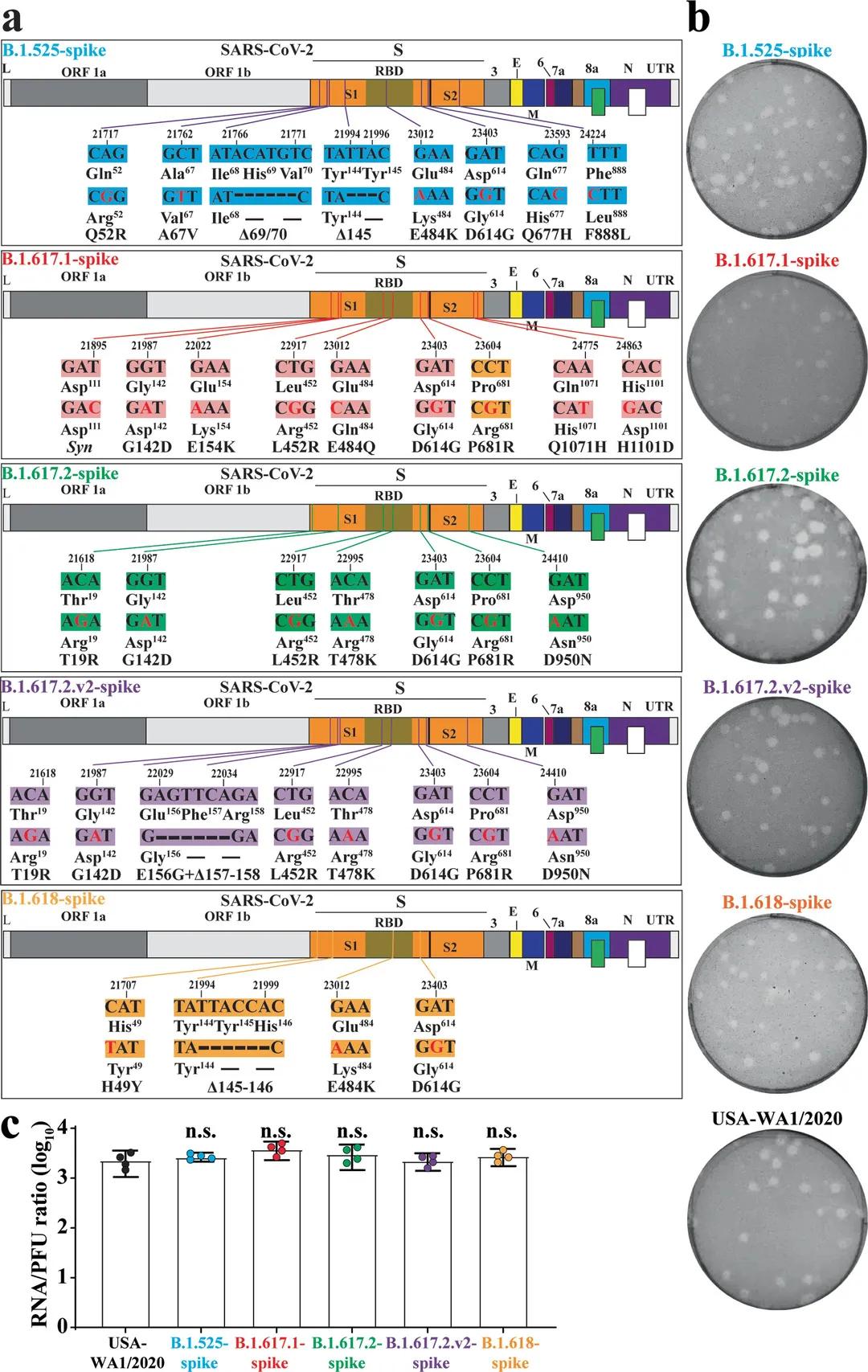 冠病毒最新統(tǒng)計及觀點論述分析