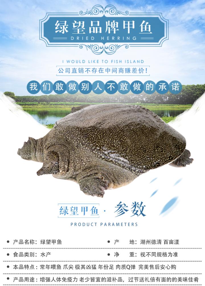 浙江農(nóng)博會最新信息,浙江農(nóng)博會最新信息，展現(xiàn)農(nóng)業(yè)新風貌，引領綠色生活潮流