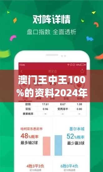 2024新澳門(mén)王中王正版,平衡執(zhí)行計(jì)劃實(shí)施_魂銀版54.229