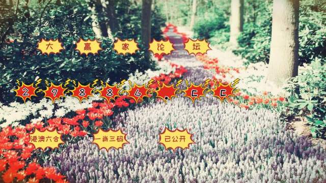 一肖一碼一必中一肖,釋意性描述解_變更版77.245