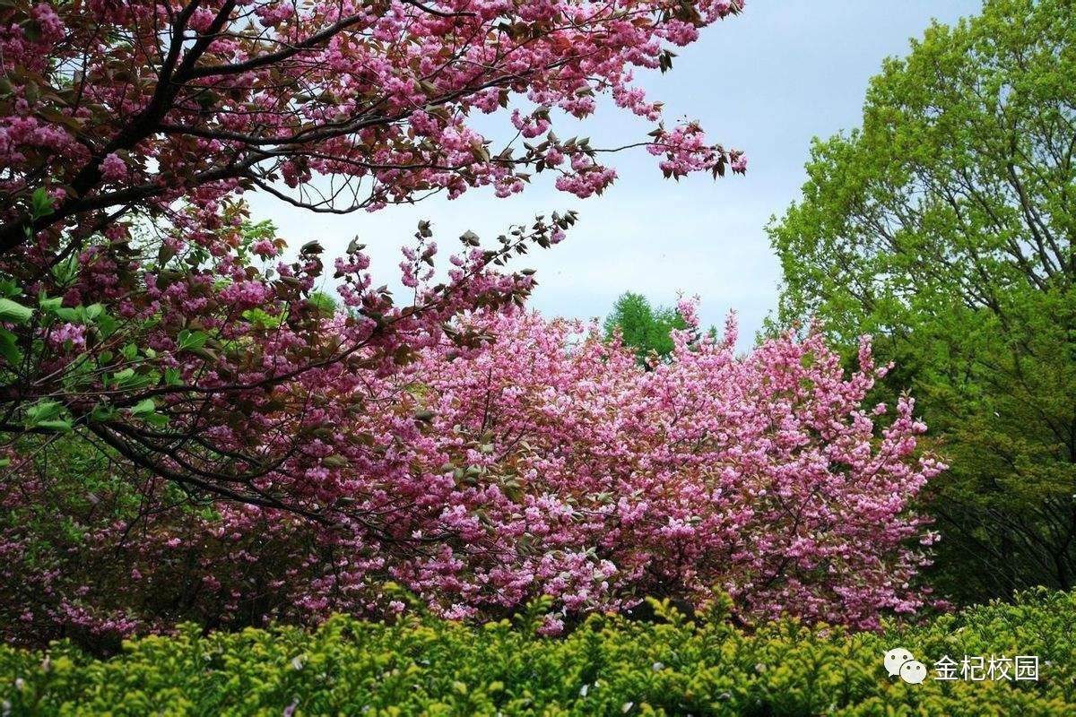 一甌春最新，學(xué)習(xí)之光照亮自信之路