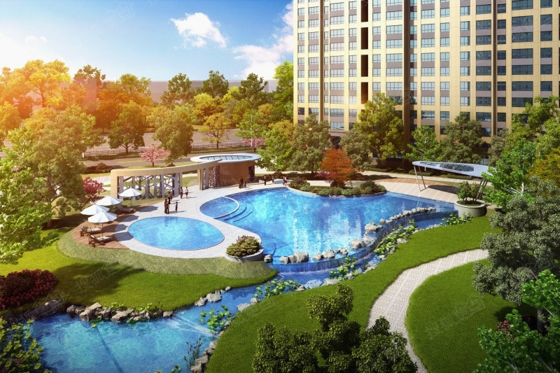 綠洲社交平臺最新動態(tài)，上手綠洲社交平臺的詳細(xì)步驟指南