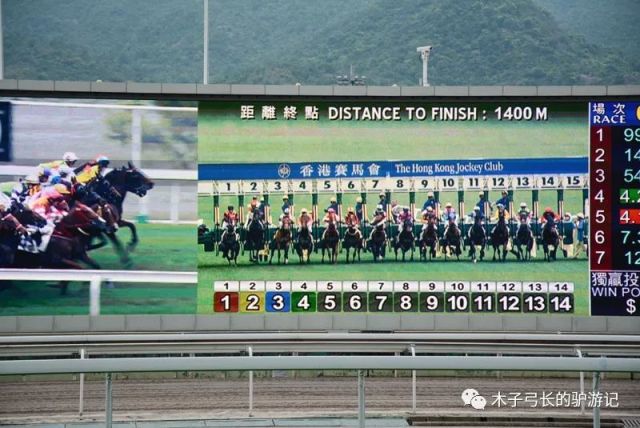 2024香港賽馬全年免費資料,決策信息解釋_超高清版94.780