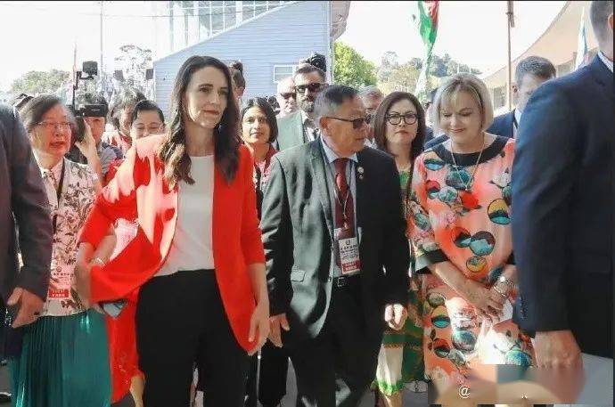 新西蘭疫情最新數(shù)劇,新西蘭疫情最新數(shù)據(jù)，獲取與理解步驟指南（初學者/進階用戶適用）