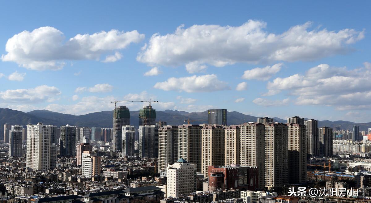 沈八條最新,沈八條最新，變化的力量，自信與成長(zhǎng)的旋律