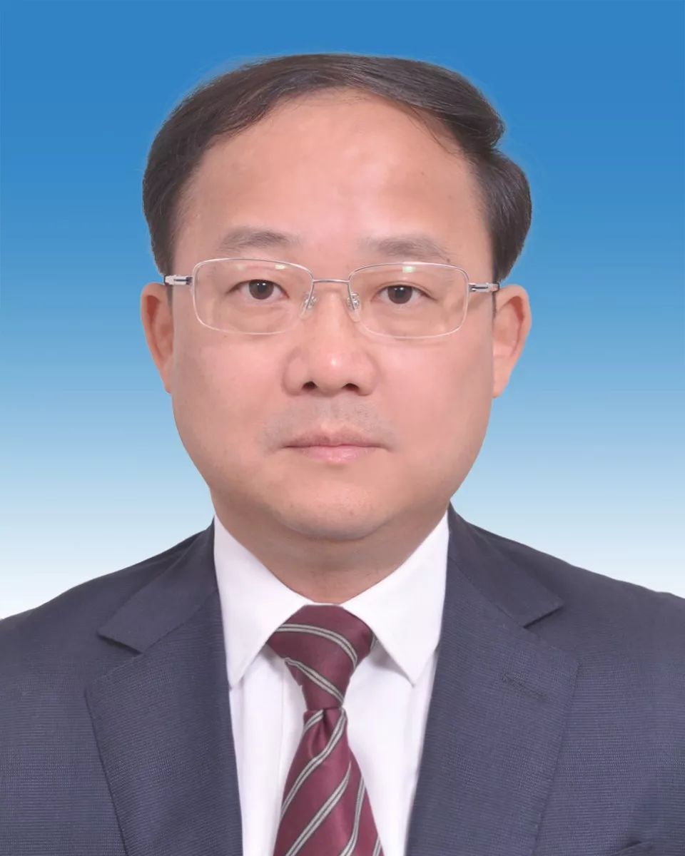 楚科緯的新職務(wù)揭秘，科技小達(dá)人的日常與情感紐帶探索