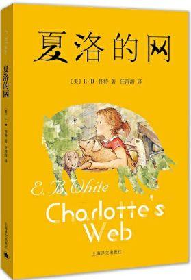 大人網(wǎng)最新版，日常趣事與情感交流的平臺(tái)