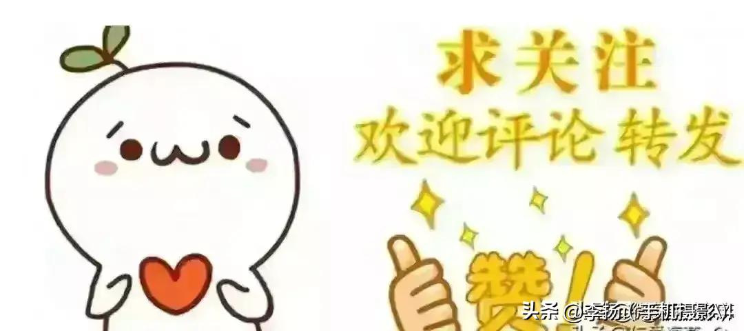 2024精準(zhǔn)資料免費(fèi),靈活執(zhí)行方案_高清晰度版8.669