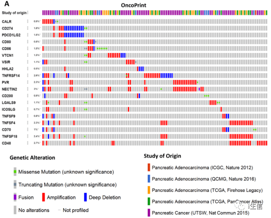 55123新澳精準資料查詢,數(shù)據(jù)詳解說明_目擊版44.595