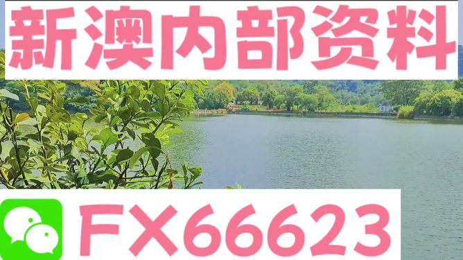 新澳精準(zhǔn)資料免費(fèi)提供網(wǎng)站有哪些呢圖片,全面性解釋說明_實驗版96.379