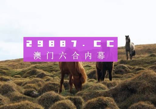 新澳門開獎(jiǎng)結(jié)果+開獎(jiǎng)記錄,新技術(shù)推動(dòng)方略_閃電版65.539