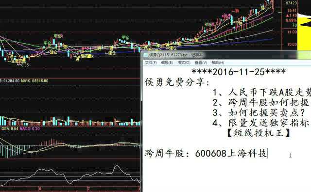 槽股票，小巷深處的特色小店奇妙之旅