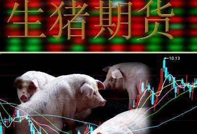 生豬期貨最新動(dòng)態(tài)，變化中的機(jī)遇與挑戰(zhàn)的自我超越旅程