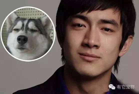 明星撞臉動物與神秘小巷小店探秘