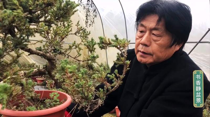 劉增魁最新修剪視頻，探尋小巷中的隱藏寶藏揭秘！