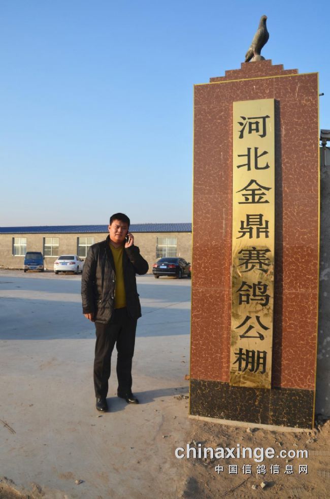 金鼎公棚最新通告發(fā)布，最新動(dòng)態(tài)及信息匯總