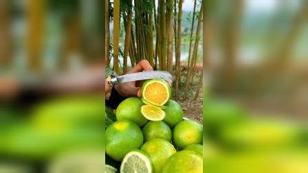 畢節(jié)新鮮資訊,畢節(jié)新鮮資訊，城市發(fā)展的多維度探析與觀點碰撞