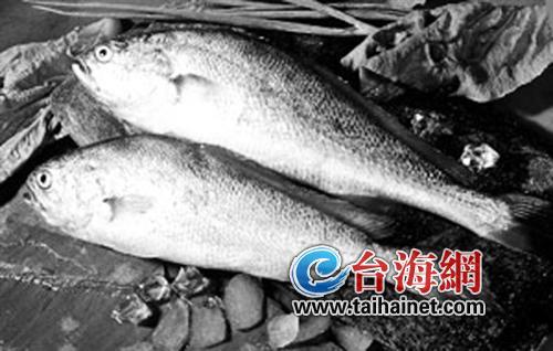 大黃魚價(jià)格飆升，躍居知識海洋中的魚王霸主地位