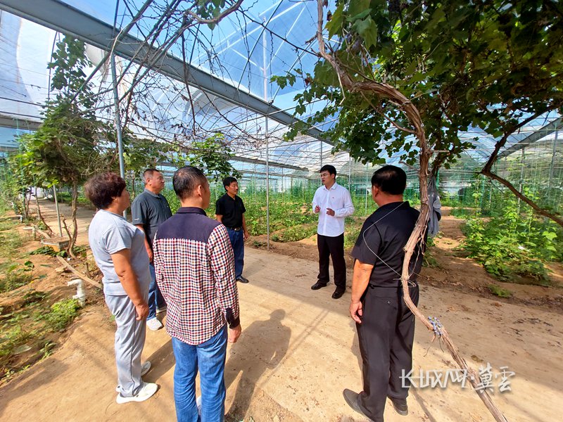 最新易縣梁格莊規(guī)劃圖揭秘，小巷深處的意外發(fā)現