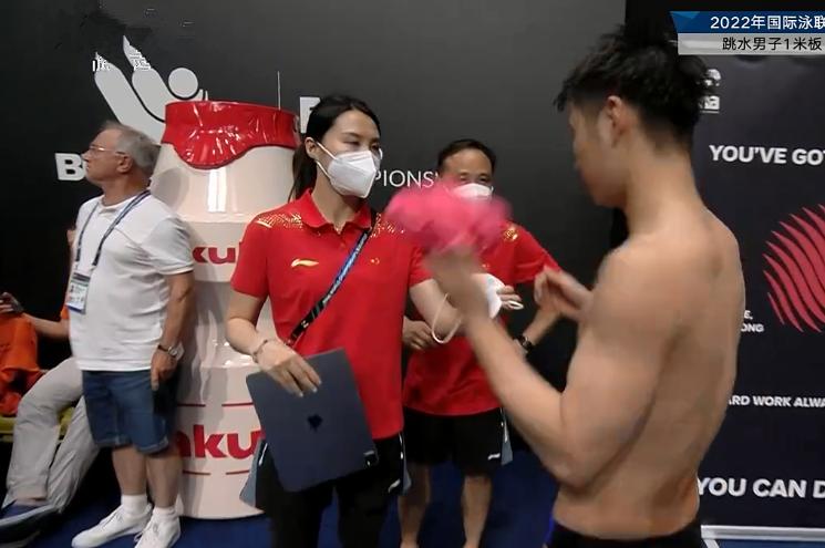 跳水比賽打分制度詳解，技術(shù)與藝術(shù)的完美融合之旅