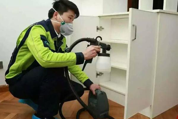 無錫小巷深處的綠色呼吸秘密，除甲醛價格與呼吸新鮮空氣的權(quán)益