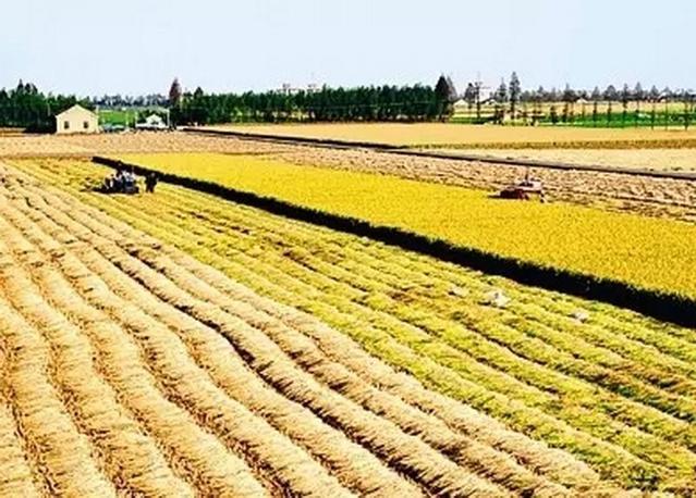 中國農(nóng)民土地最新政策，時代變革與未來展望