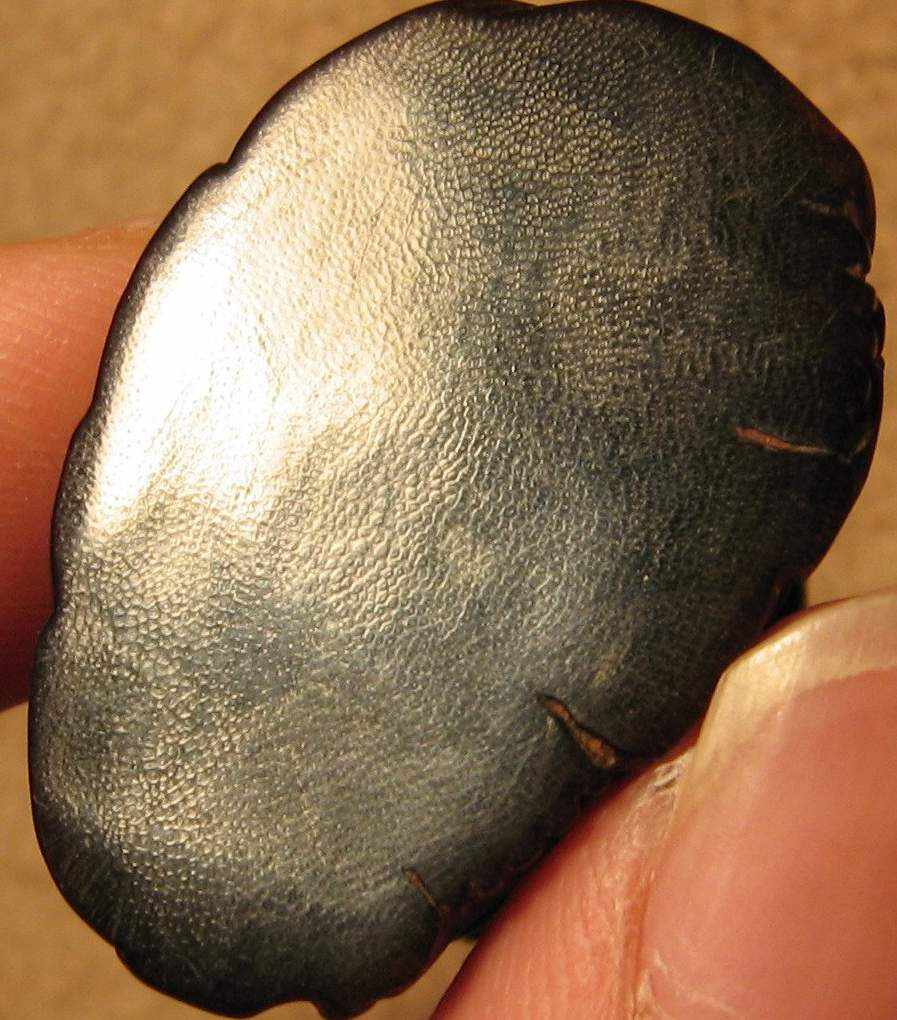 犀角秘境，揭秘巷弄深處的犀角行情