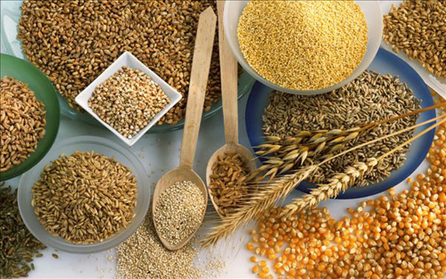 科技引領(lǐng)糧食市場，全新升級糧食行情APP重塑未來生活體驗！