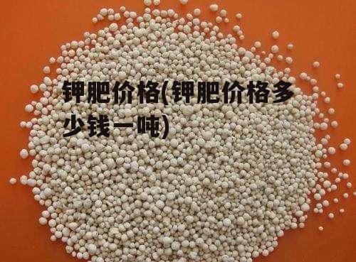 鉀肥價(jià)格行情最新價(jià)格,鉀肥價(jià)格行情最新動態(tài)，市場走勢深度解析