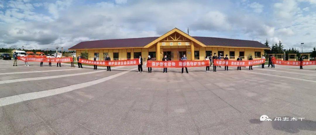 廠辦伊春最新動態(tài)，探索自然美景的輕松之旅啟程了！