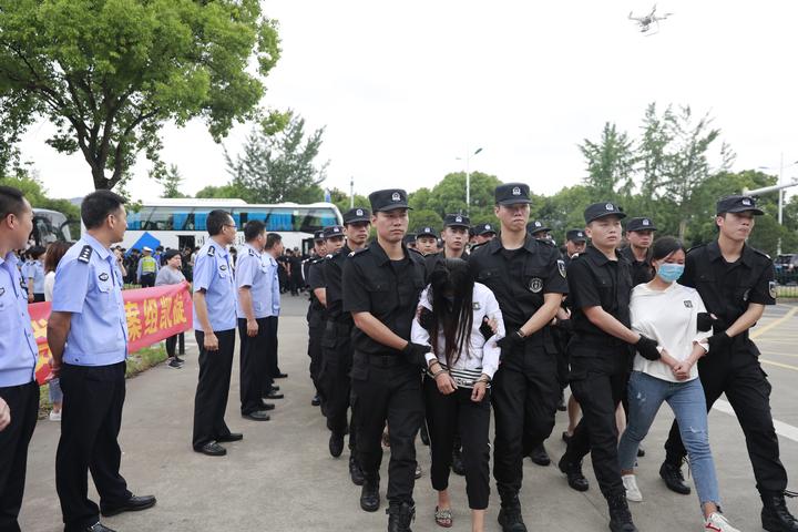 浙江溫嶺詐騙最新動(dòng)態(tài)，力量與智慧的覺醒之戰(zhàn)