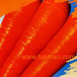 野生胡蘿卜籽價格行情深度解析，最新市場動態(tài)與趨勢預(yù)測