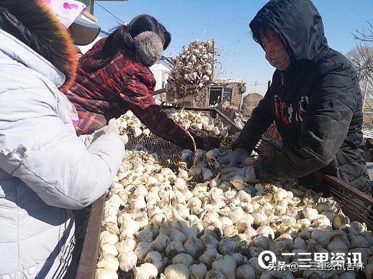 白城美食探秘，小巷深處的獨(dú)特風(fēng)味與隱藏的美食寶藏