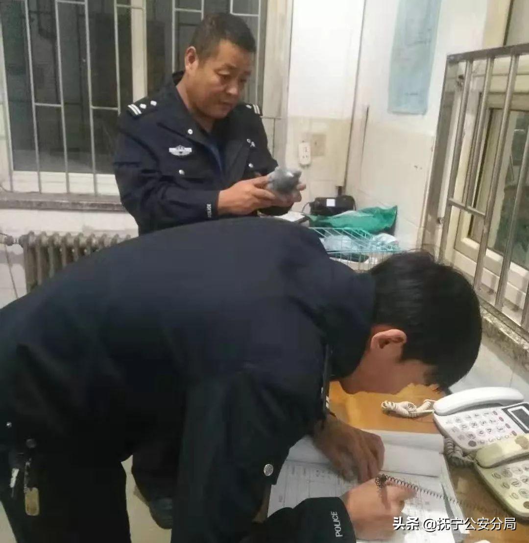 最新大成公棚動(dòng)態(tài),最新大成公棚動(dòng)態(tài)