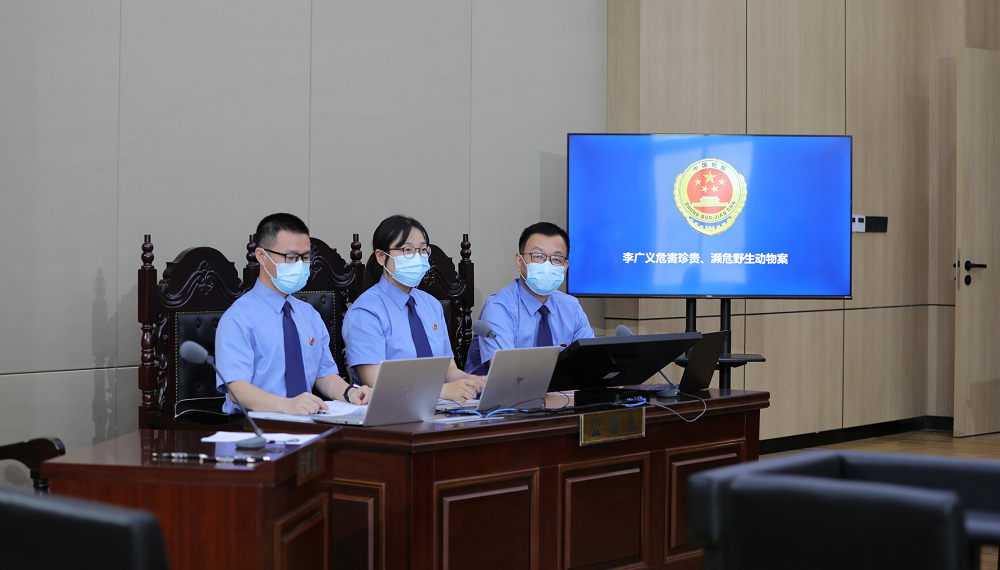 最新公訴，與自然美景的邂逅，探尋內心平和之旅