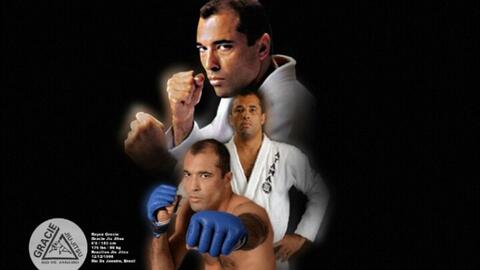 重溫傳奇，探尋武術(shù)之精髓，MMA李小龍比賽視頻回顧