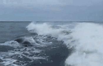 長城電影盛宴，歷史的影像饕餮