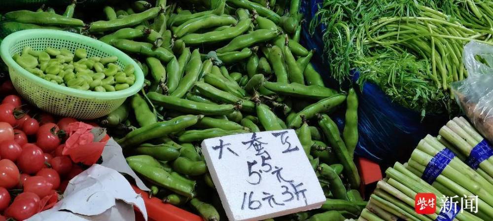 2023年蠶豆市場風(fēng)云變幻，機(jī)遇與挑戰(zhàn)并存，學(xué)習(xí)成就自信與成長之路