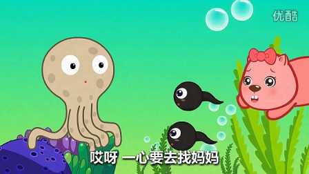 蝌蚪音樂網(wǎng)最新網(wǎng)址探索與反思，音樂世界的深度探索