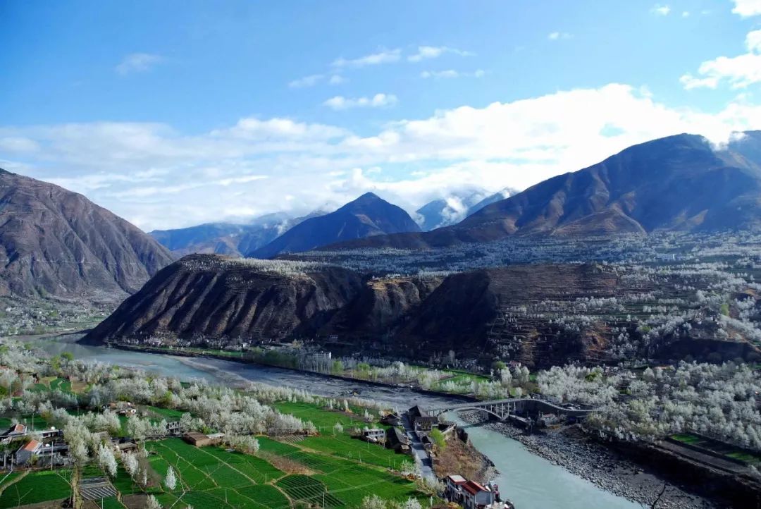 深度解析，最新金川的背景、重大事件及其地位