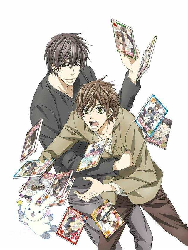 動(dòng)漫肉耽美的探討及其涉黃問題分析