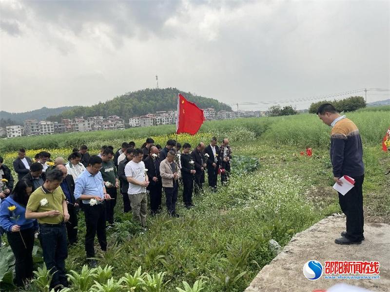 洞口黃橋紅網最新資訊，自然美景探索之旅，尋找內心平和與寧靜的旅程